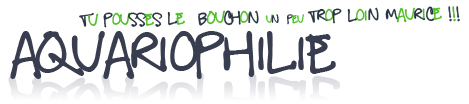 MXV.be Aquariophilie