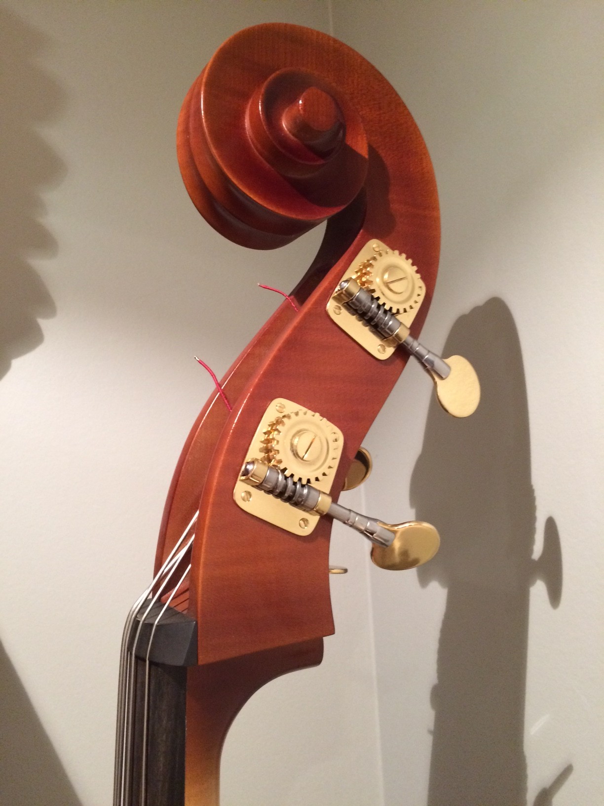 HSBOX Project Electric Upright Double Bass preview [ MXV ] Max